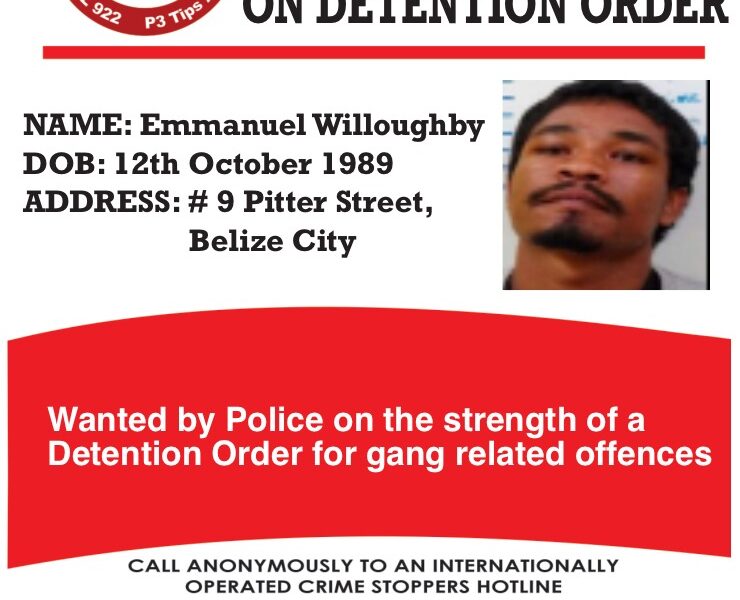 WANTED: Emmanuel Willoughby